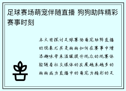 足球赛场萌宠伴随直播 狗狗助阵精彩赛事时刻