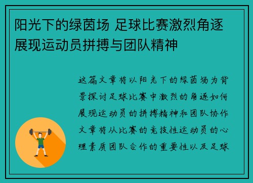 阳光下的绿茵场 足球比赛激烈角逐 展现运动员拼搏与团队精神