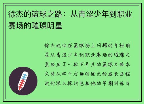 徐杰的篮球之路：从青涩少年到职业赛场的璀璨明星