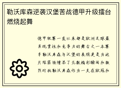勒沃库森逆袭汉堡苦战德甲升级擂台燃烧起舞