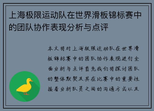 上海极限运动队在世界滑板锦标赛中的团队协作表现分析与点评
